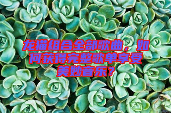龍貓組合全部歌曲，如何獲得完整歌單享受美妙音樂？