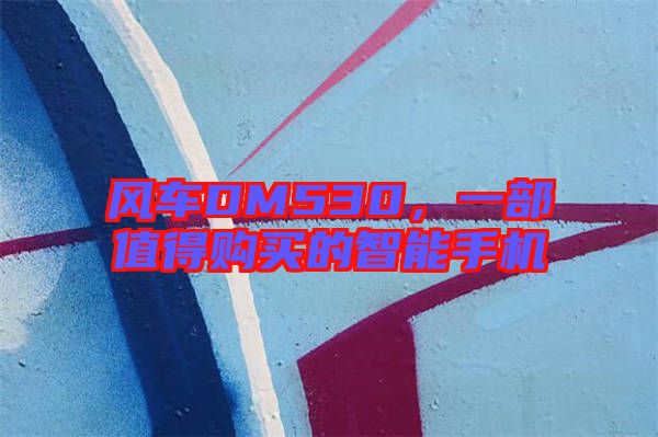 風(fēng)車DM530，一部值得購買的智能手機(jī)