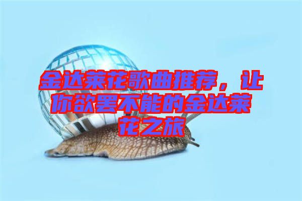 金達萊花歌曲推薦，讓你欲罷不能的金達萊花之旅