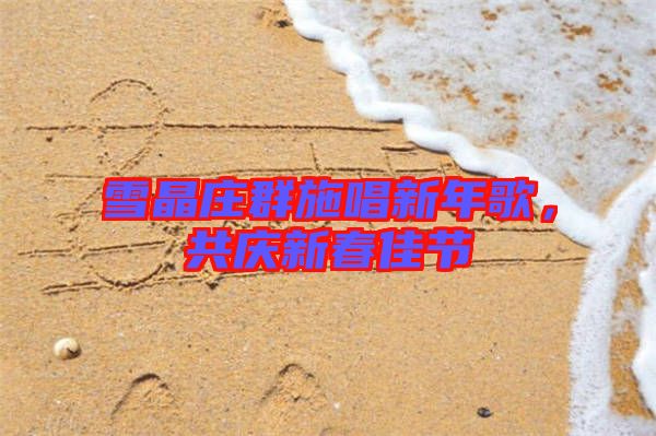 雪晶莊群施唱新年歌，共慶新春佳節(jié)