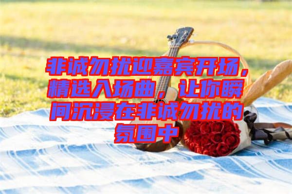 非誠勿擾迎嘉賓開場，精選入場曲，讓你瞬間沉浸在非誠勿擾的氛圍中