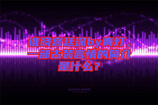 誰(shuí)曉宮廷深by青燈，一部古裝言情的簡(jiǎn)介是什么？