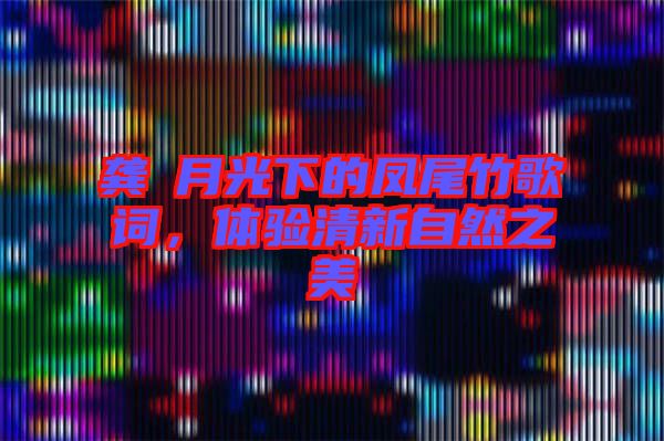 龔玥月光下的鳳尾竹歌詞，體驗清新自然之美