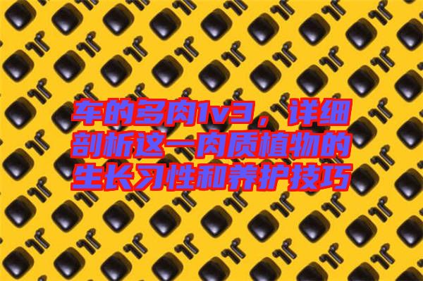 車的多肉1v3，詳細剖析這一肉質(zhì)植物的生長習(xí)性和養(yǎng)護技巧