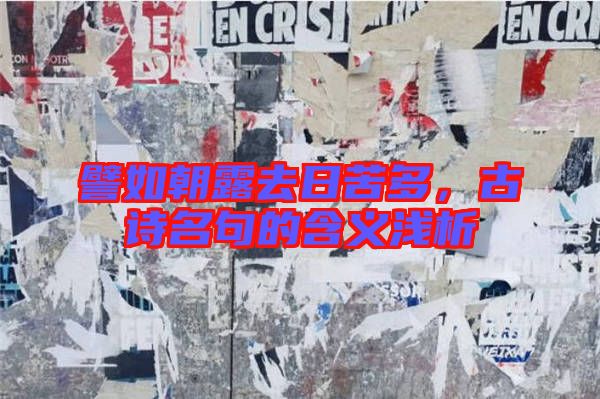 譬如朝露去日苦多，古詩名句的含義淺析