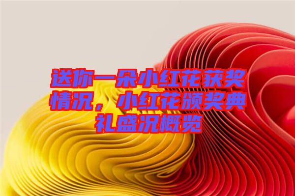 送你一朵小紅花獲獎情況，小紅花頒獎典禮盛況概覽