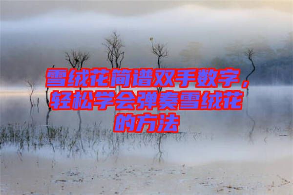 雪絨花簡(jiǎn)譜雙手?jǐn)?shù)字，輕松學(xué)會(huì)彈奏雪絨花的方法