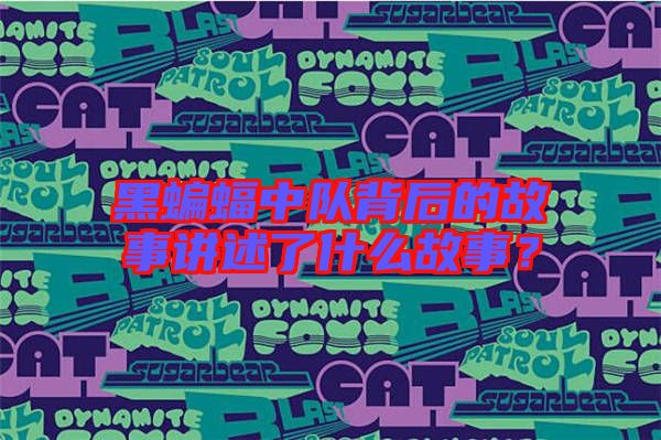 黑蝙蝠中隊背后的故事講述了什么故事？