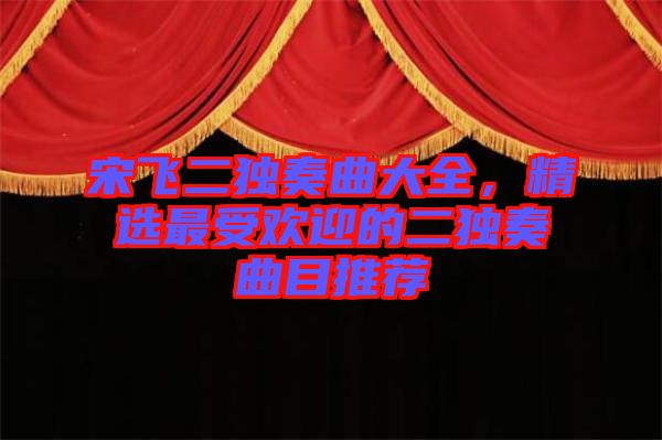 宋飛二獨(dú)奏曲大全，精選最受歡迎的二獨(dú)奏曲目推薦