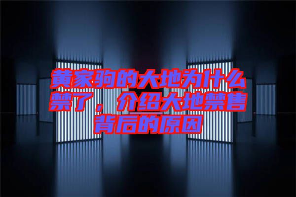 黃家駒的大地為什么禁了，介紹大地禁售背后的原因
