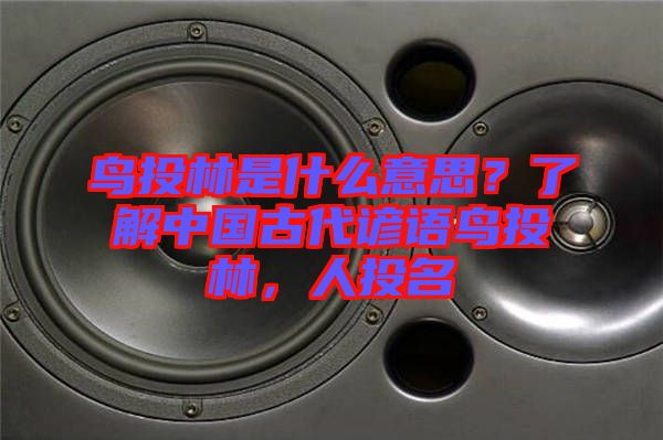 鳥投林是什么意思？了解中國古代諺語鳥投林，人投名