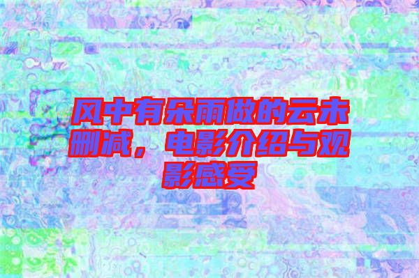 風(fēng)中有朵雨做的云未刪減，電影介紹與觀影感受