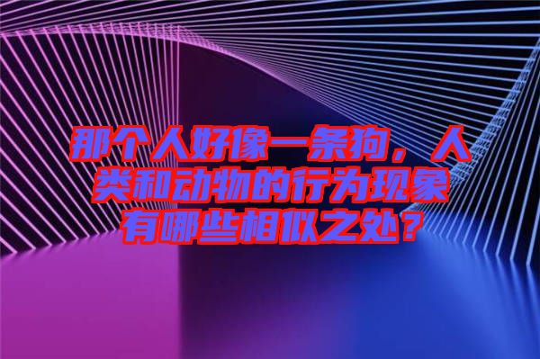 那個(gè)人好像一條狗，人類和動(dòng)物的行為現(xiàn)象有哪些相似之處？