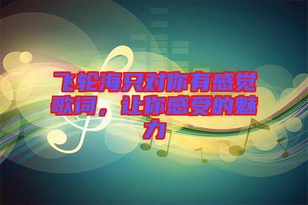 飛輪海只對(duì)你有感覺(jué)歌詞，讓你感受的魅力