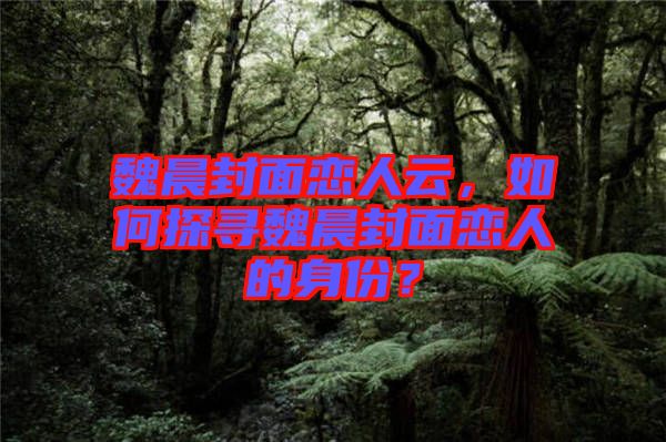 魏晨封面戀人云，如何探尋魏晨封面戀人的身份？