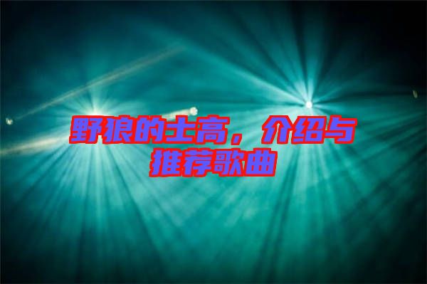 野狼的士高，介紹與推薦歌曲