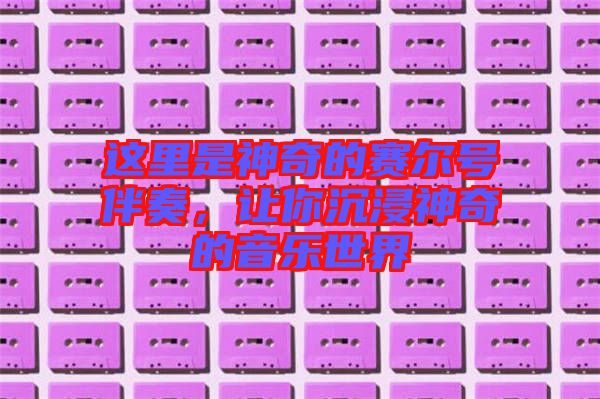 這里是神奇的賽爾號伴奏，讓你沉浸神奇的音樂世界