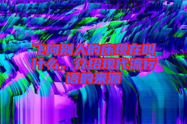 飛向別人的床現(xiàn)在叫什么，介紹現(xiàn)代流行語的來源