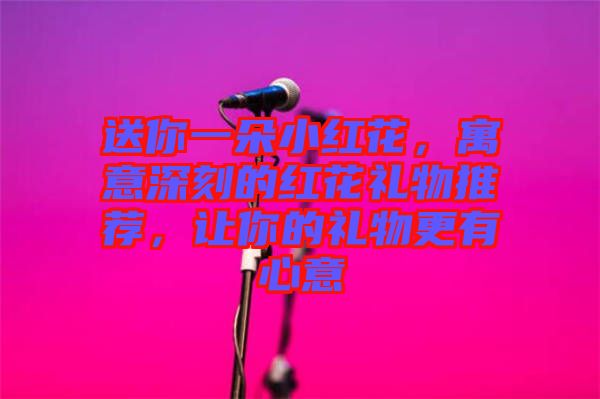 送你一朵小紅花，寓意深刻的紅花禮物推薦，讓你的禮物更有心意