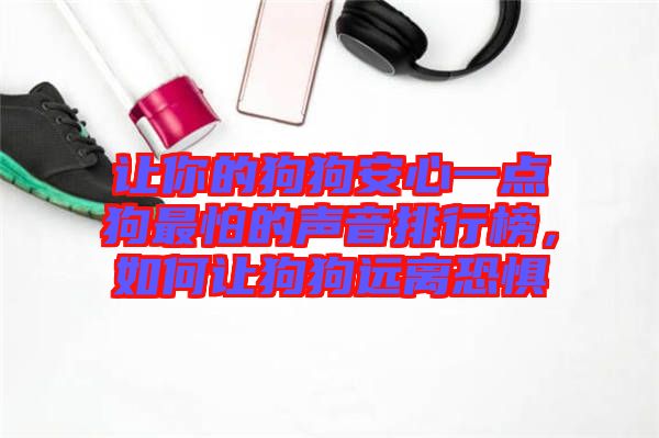 讓你的狗狗安心一點狗最怕的聲音排行榜，如何讓狗狗遠離恐懼