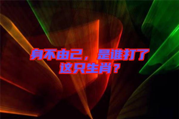 身不由己，是誰打了這只生肖？