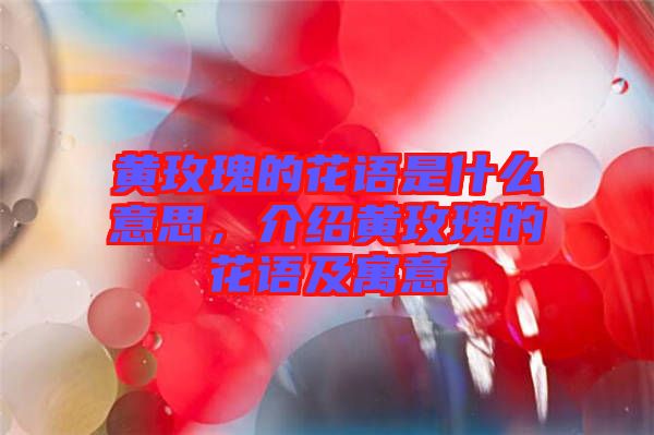 黃玫瑰的花語是什么意思，介紹黃玫瑰的花語及寓意