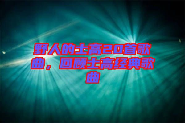 野人的士高20首歌曲，回顧士高經(jīng)典歌曲