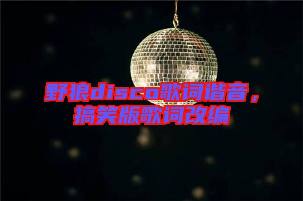 野狼disco歌詞諧音，搞笑版歌詞改編