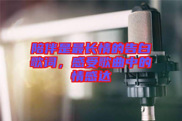 陪伴是最長情的告白歌詞，感受歌曲中的情感達(dá)