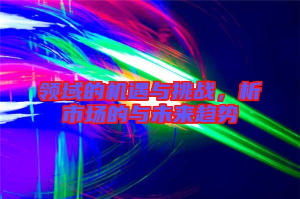 領(lǐng)域的機(jī)遇與挑戰(zhàn)，析市場(chǎng)的與未來趨勢(shì)