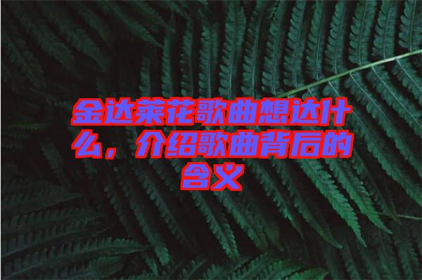 金達(dá)萊花歌曲想達(dá)什么，介紹歌曲背后的含義
